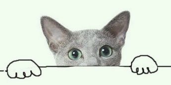 L’attribut alt de cette image est vide, son nom de fichier est le-curieux-sans-wwww-2.jpg.